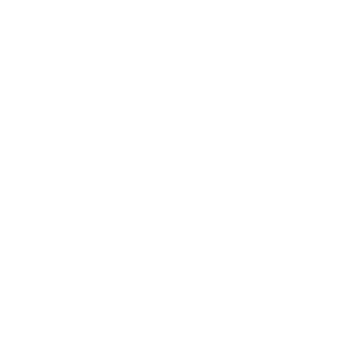 development icon