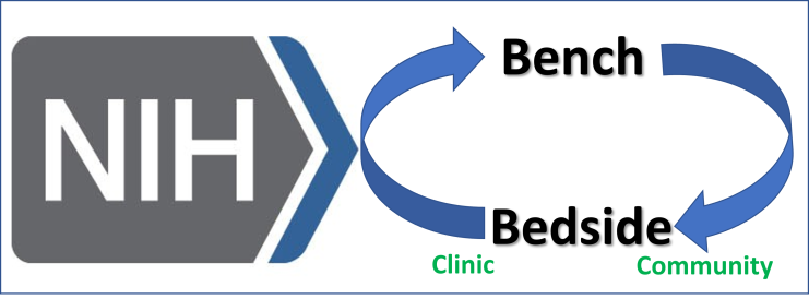 Bench-to-Bedside and Back Program (BtB)